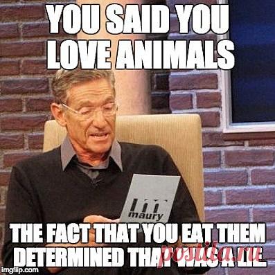 Mercy For Animals on Instagram: “LOL!! #govegan #vegansofig #mercyforanimals #veganhumor #animals #maury” 4,947 Likes, 228 Comments - Mercy For Animals (@mercyforanimals) on Instagram: “LOL!! #govegan #vegansofig #mercyforanimals #veganhumor #animals #maury”