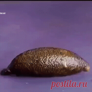хозяйкам на заметку