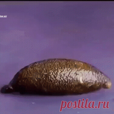 хозяйкам на заметку