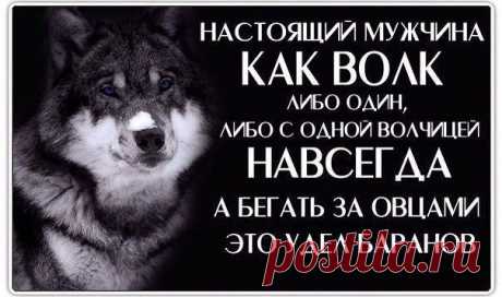 (56) Одноклассники