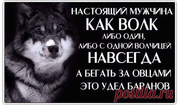 (56) Одноклассники