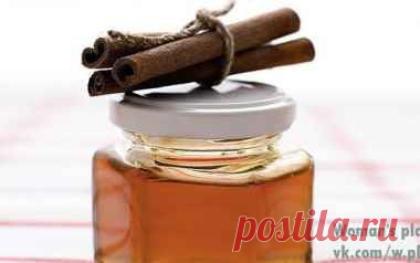 Мои закладки