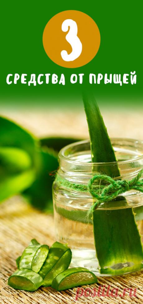 Средства от акне и прыщей в домашних условиях. Делаем натуральные средства от акне своими руками. Сода, глина и алое против прыщей. Красота и молодость без инъекций • красота • здоровье • естественная красота • лицо • волосы • кожа • здоровые ногти • ногти • целлюлит • антицеллюлитный • женская красота • натуральная косметика • своими руками • домашняя косметика • статьи красота и здоровье • красота и здоровье кожи • красота статьи • все о красоте и здоровье • уход за собой • все для красоты жен