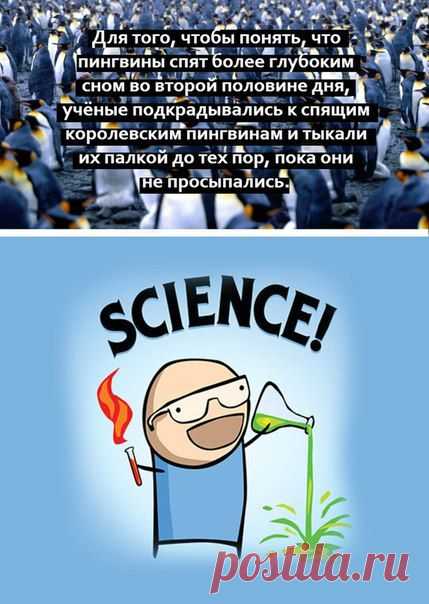 Ох уж эти исследователи... / Интересный космос