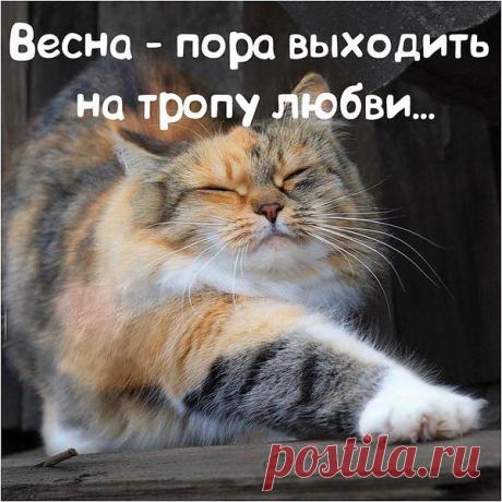 Интересные новости