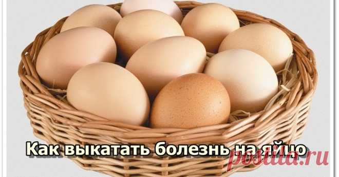 Как снять нарушения в организме на яйцо (онлайн видео урок) Как снять нарушения в организме на яйцо видео урок онлайн