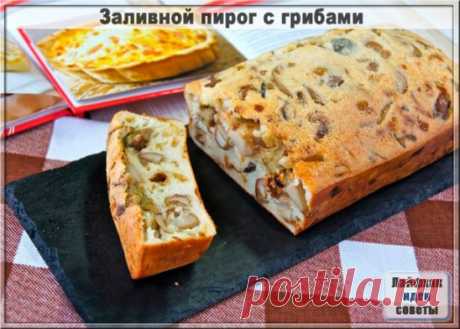 Заливной пирог с грибами
Ингредиенты
Молоко - 1 ст.
Мука - 1 ст.
Яйца куриные - 2 шт.
Сметана - 3 ст.л.
Разрыхлитель - 1 ч.л.
Грибы варено-мороженые - 400 г
Растительное масло - для жарки
Лук репчатый - 1 шт.
Соль - по вкусу
Сливочное масло - для смазки
Для начала займемся начинкой, так как ей придется остыть. Очистим и нарежем на маленькие кусочки лук, обжарим на сковороде с растительным маслом