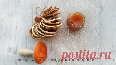 Зельеварение: противоварикозный бальзам... | Сокровищница Птицы-Сороки | Яндекс Дзен