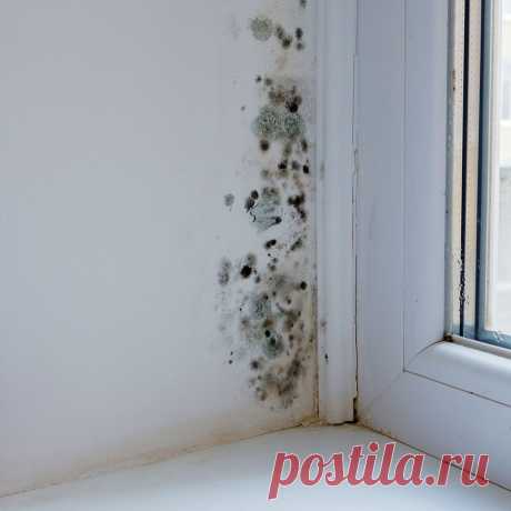 🧼 Клининговые услуги по уборке квартир, офисов, технических помещений
🔟 Большой опыт работ 🙇 Ответственность за порчу 💝 Приятные цены
🌍 Работаем по всей Москве и Московской области 📞 +7(969)022-34-60