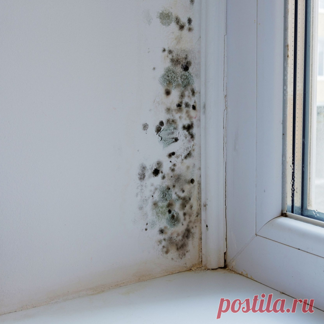 🧼 Клининговые услуги по уборке квартир, офисов, технических помещений
🔟 Большой опыт работ 🙇 Ответственность за порчу 💝 Приятные цены
🌍 Работаем по всей Москве и Московской области 📞 +7(969)022-34-60