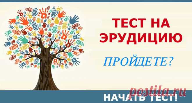 Ответьте на 11 вопросов - и узнаете, в каких науках вы сильны! - Adfave - Эдфейв