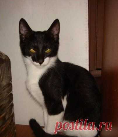 Муж пришёл с работы злой