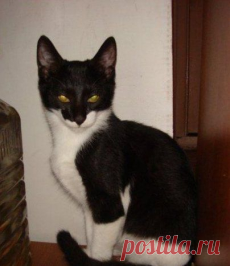 Муж пришёл с работы злой