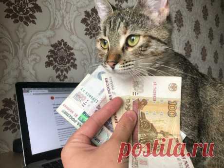 11 способов накопления денег на любой случай и для любых целей. Я успел воспользоваться каждым из них, и каждый по-своему хорош | Обожаю понедельники. Дудин Юрий | Яндекс Дзен