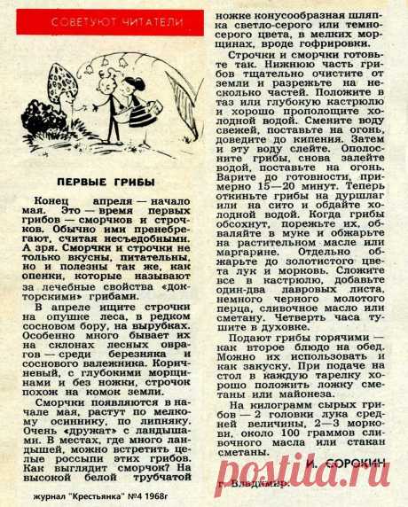 Готовим сморчки и строчки