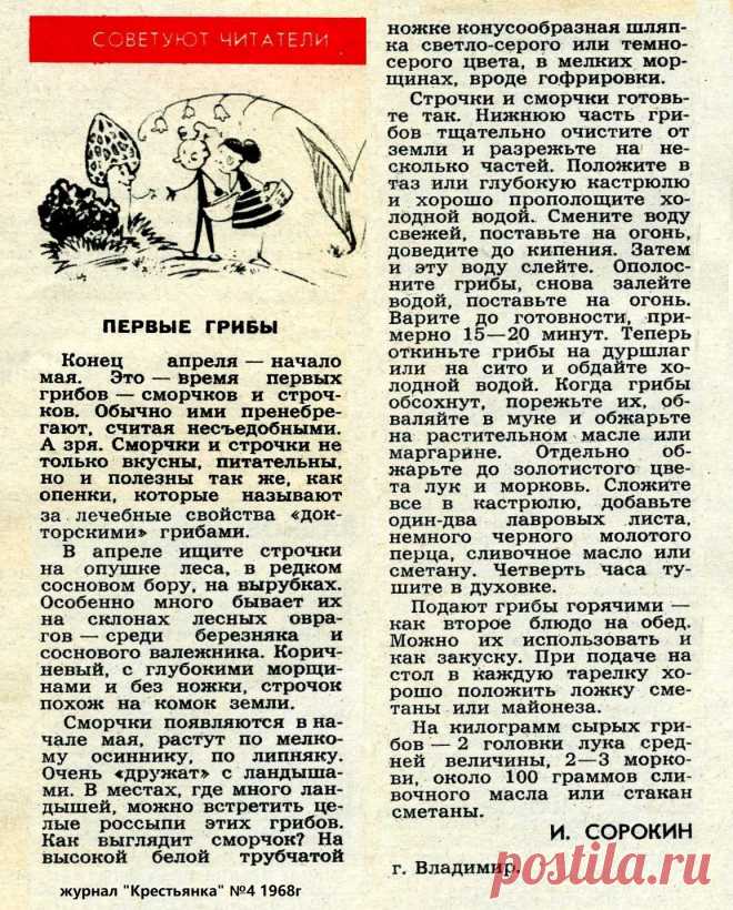Готовим сморчки и строчки