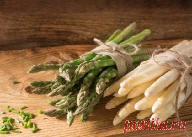 Спаржа

Спаржа известна как один из самых сбалансированных овощей. 

В ней нет жира и холестерина , очень мало натрия и много основных питательных веществ.

Спаржа содержит следующие питательные вещества:

- Фолиевая кислота — это витамин группы В, который организм использует для создания ДНК.

--Витамин К играет роль в свертывании крови и поддержании здоровья костей.

--Калий поддерживает нормальное функционирование нервов и мышц.

- Витамин С , антиоксидант, помогает кож...