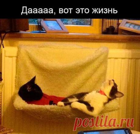 Интересные новости