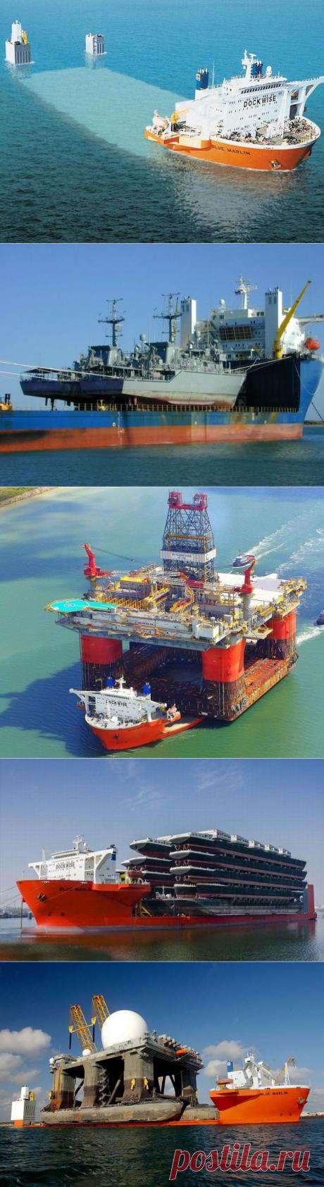 Морской гигант Blue Marlin | Наука и техника