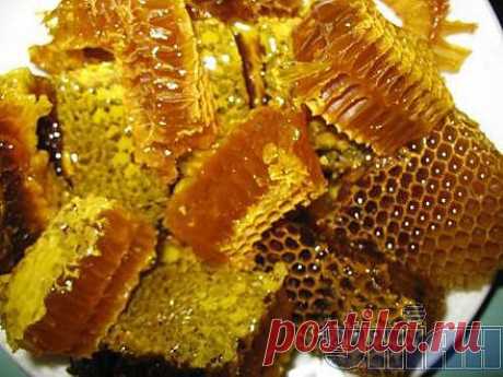 Свойства и применение забруса 
Целебные свойства забруса могут быть использованы в профилактических целях - для того чтобы сохранить здоровье зубов, ротовой полости и носоглотки и желудочно-кишечного тракта. Кроме того, жевание забруса и применение прополисного масла во время эпидемий гриппа предостерегает от простудных заболеваний.