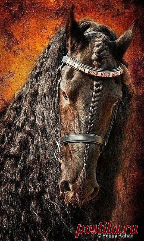 (61) Pinterest