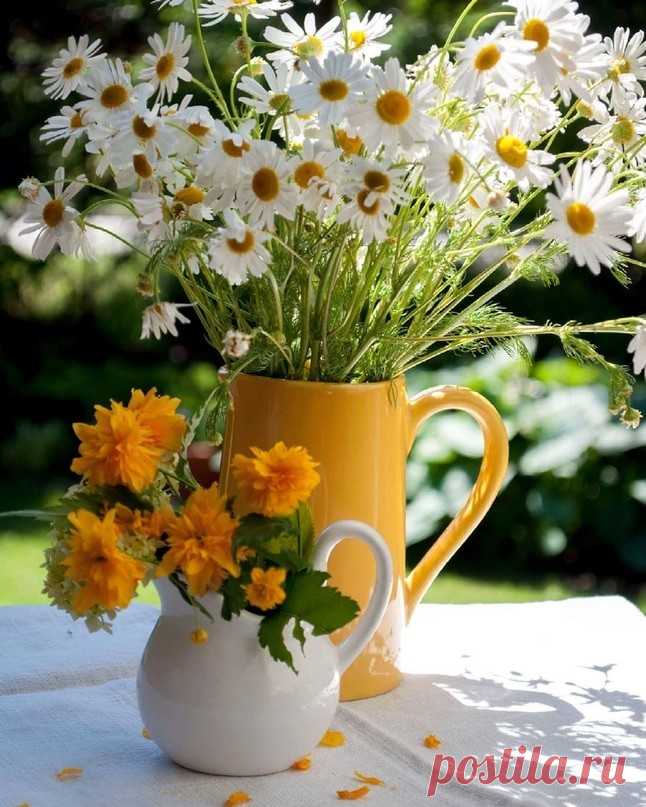 Мне страшно хочется жить,
хочется, чтобы наша жизнь была свята,
высока и торжественна, как свод небесный.
Будем жить!
Антон Павлович Чехов.