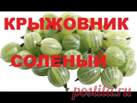 Крыжовник Соленый В маринаде По - Молдавски. И К Мясу И К Рыбе. Фруктовый Гарнир