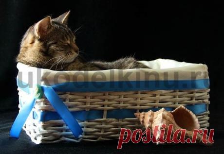 Лежанка для кошки своими руками. Плетем из газетных трубочек. Часть 1.