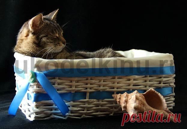 Лежанка для кошки своими руками. Плетем из газетных трубочек. Часть 1.