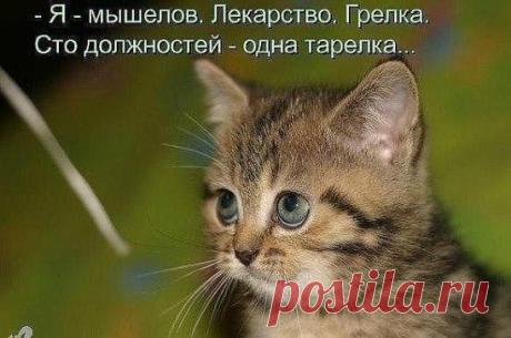(99) Одноклассники