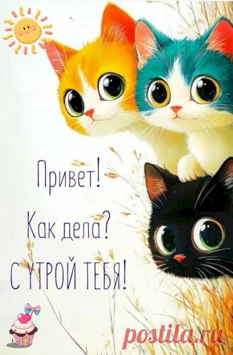 Выпуск №6279 - выпуск анекдотов сайта вокруг смеха
