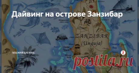 Дайвинг на острове Занзибар Планируя позаниматься дайвингом на Занзибаре, можно выбрать практически любое направление.Среди самых популярных программ дайв-туров выделяются:
дайвинг-сафари;
дейли-дайвинг;
ночные погружения;