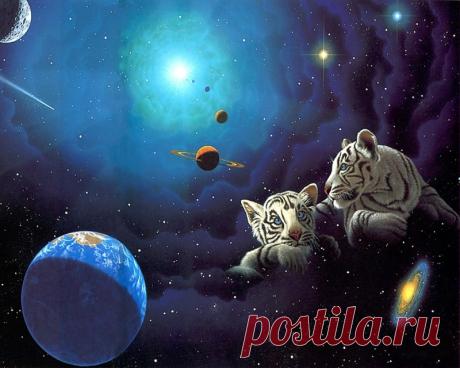 Великолепные иллюстрации William Schimmel