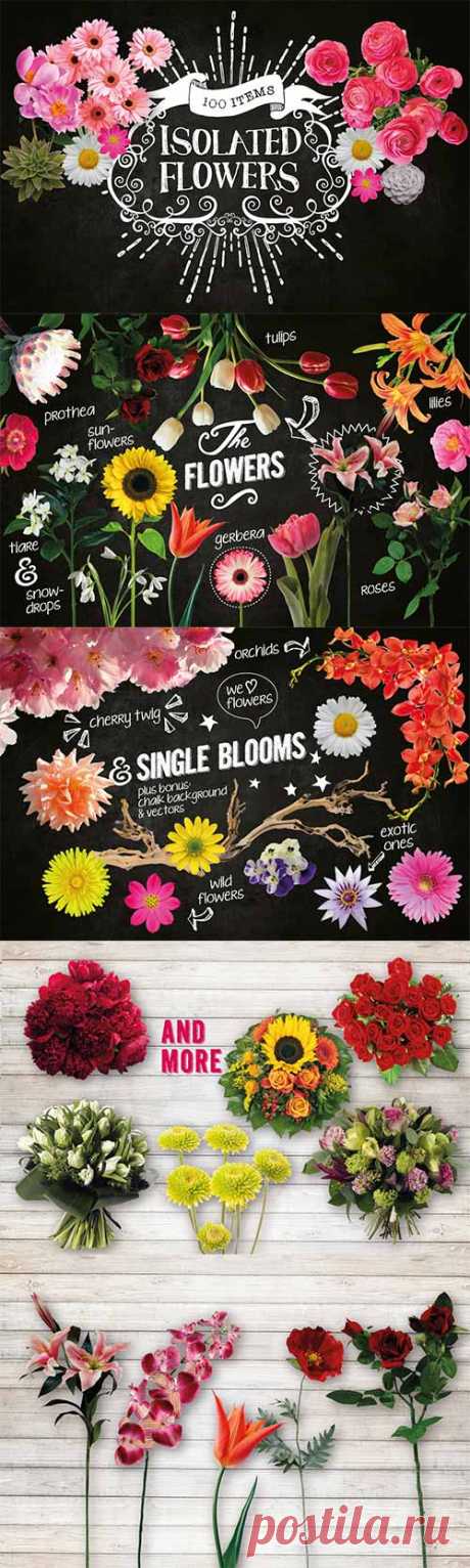 100 Isolated Flower Chalk Kit - 16 Марта 2015 - DiZona - все для дизайна