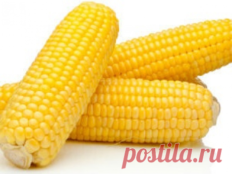 Имбирь: секреты чудо-корня