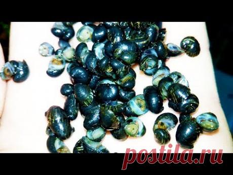 ГЛАЗАМ СВОИМ НЕ ПОВЕРИЛ!!! ВОТ ТАК РАБОТА!!! - YouTube