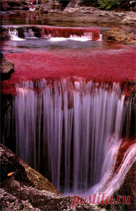 The River of Five Co nature love - Waterfalls Love