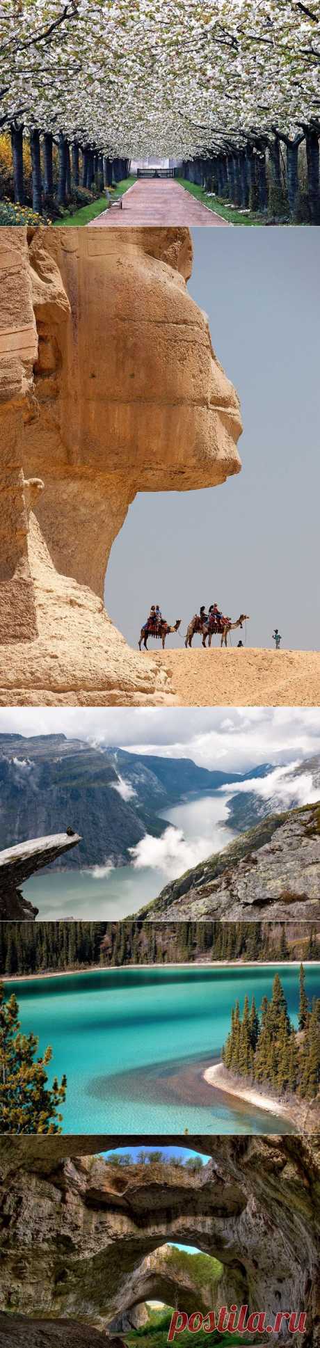 The Cool Hunter - Amazing Places --- Удивительные места