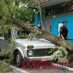 Ураган в московском регионе: число жертв увеличилось до 16 человек (176): Яндекс.Новости