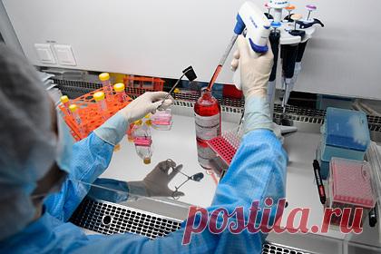 В России разработали новый метод поиска опасных мутаций коронавируса. Российские ученые предложили новый метод отслеживания мутаций коронавируса, который может стать подходящей альтернативой полноценному секвенированию генома SARS-CoV-2, применяемому в настоящее время. Для этого используют праймеры — короткие фрагменты нуклеотидной цепи.