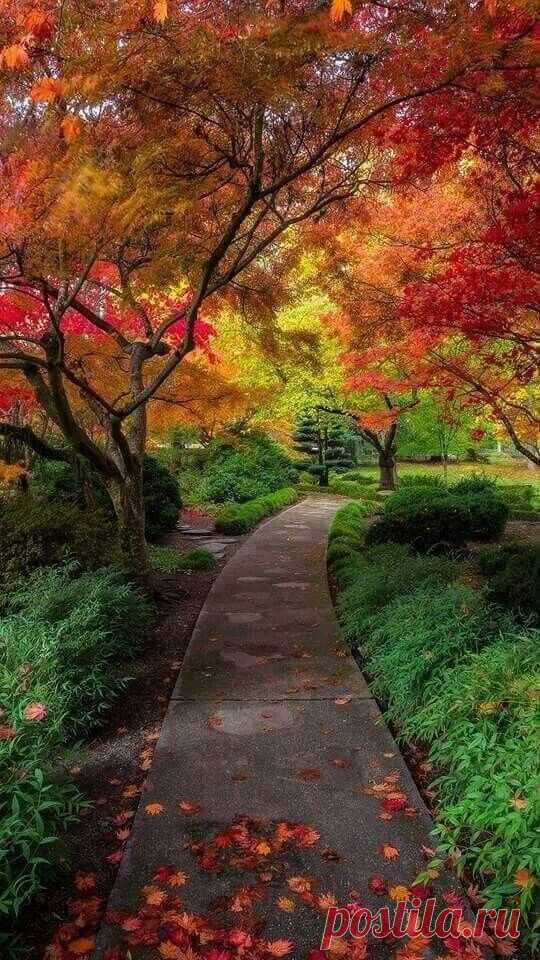 i (540×960)