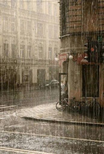 Живые фотографии – Google+