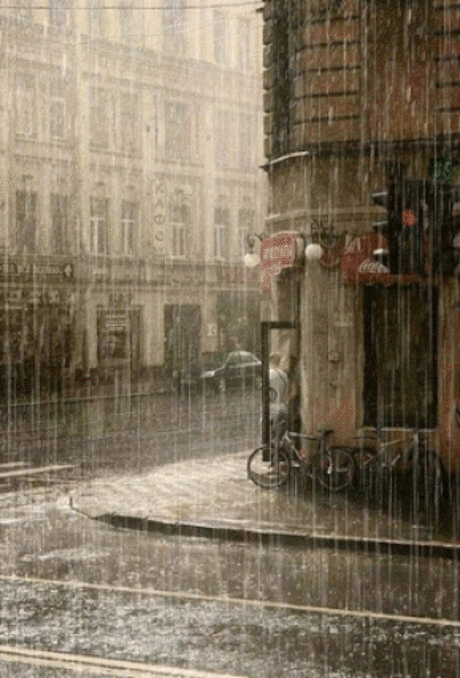 Живые фотографии – Google+