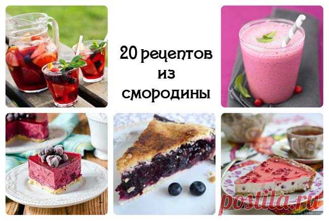 20 рецептов со смородиной | Море идей