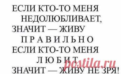 Лучшие цитаты за последнее время / Писец - приколы интернета