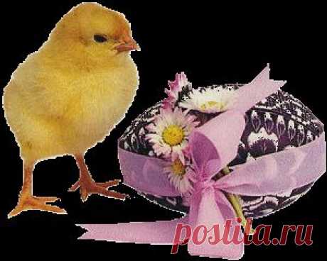 нт