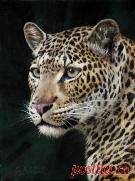 Кошачьи портреты Гая Коэлича - Искусство животных Гая Коэлича