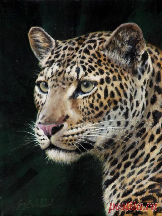 Кошачьи портреты Гая Коэлича - Искусство животных Гая Коэлича
