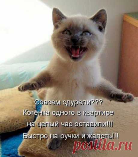 Сайт знакомств 24open.ru — знакомства без регистрации для серьезных отношений. Бесплатная служба знакомств с мобильной версией, познакомиться с девушкой или парнем.