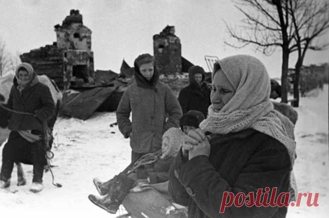 Территории без людей. Опубликованы новые данные о планах истребить славян | Аргументы и факты – aif.ru | Дзен